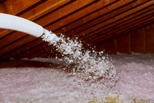 Best Blown-in Insulation in Nekoosa, WI