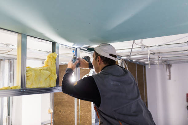 Best Residential Insulation in Nekoosa, WI