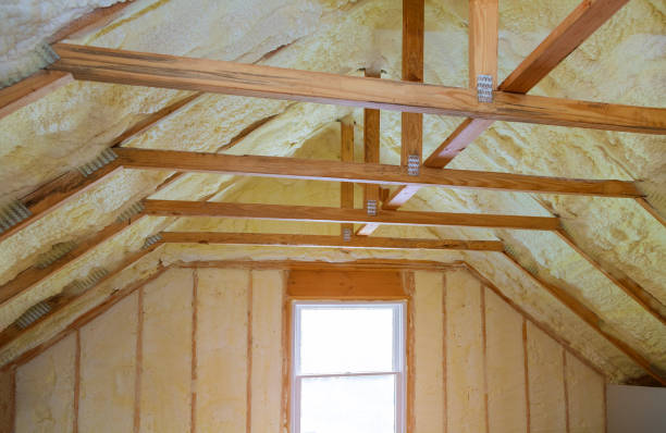 Best DIY Insulation Kits and Guidance in Nekoosa, WI